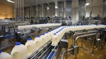 milkbottlesmilkprocessormilkbottlingplantconveyor-1