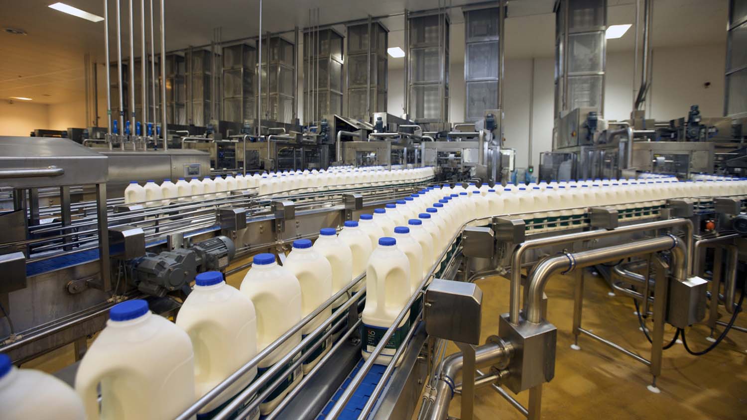 milkbottlesmilkprocessormilkbottlingplantconveyor-1